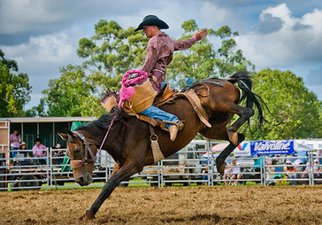Alstonville Rodeo